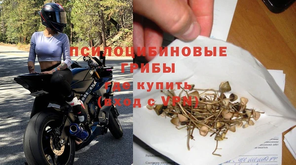 ПСИЛОЦИБИНОВЫЕ ГРИБЫ Абинск