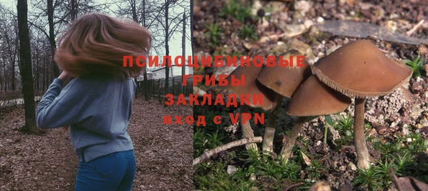 ПСИЛОЦИБИНОВЫЕ ГРИБЫ Абинск