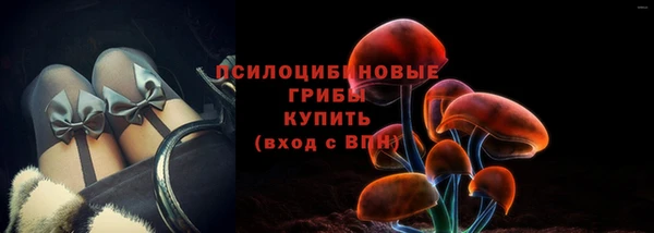 ПСИЛОЦИБИНОВЫЕ ГРИБЫ Абинск
